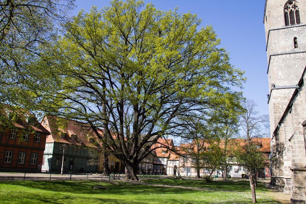 Apartmenthaus Seiler Quedlinburg Exteriör bild